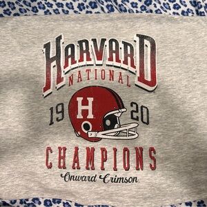 Harvard Gray Crop Top